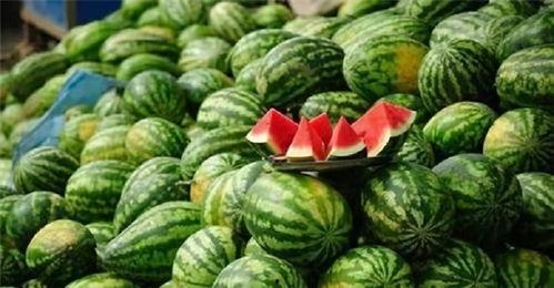 四个字网红吃瓜网名大全,网名大全揭秘