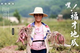 千万网红吃瓜视频,揭秘娱乐圈幕后真相