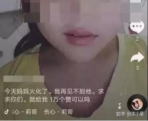 董赫女网红吃瓜视频,一场吃瓜盛宴背后的真相