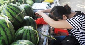 网红吃瓜群怎么进的