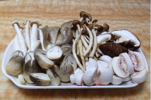 蘑菇网吃瓜爆料,娱乐圈最新吃瓜大揭秘！