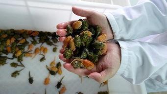 网曝泄密吃瓜事件小炸串花百万