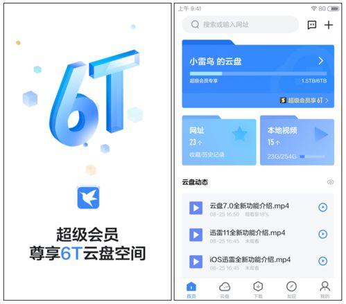 迅雷吃瓜合集网盘,盘点网盘中的热门话题与趣味瞬间