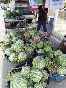 徽县网红吃瓜事件视频,揭秘网络热议背后的真相