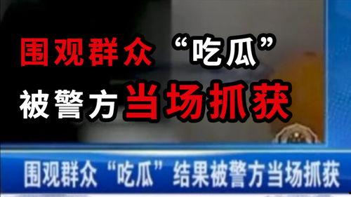 吃瓜网新闻事件汇总,热点事件回顾与深度解析