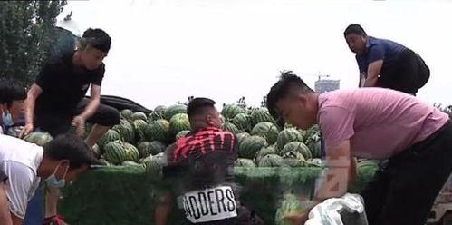 甘谷网红吃瓜事件真相,揭秘背后真相与反思